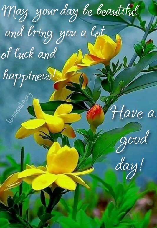 May your day be beautiful and bring you a lot of luck and happines. Have a good day!