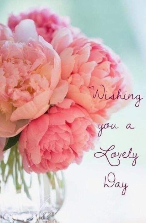 Wishing you a Lovely Day