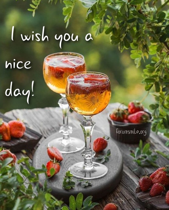I wish you a nice day!