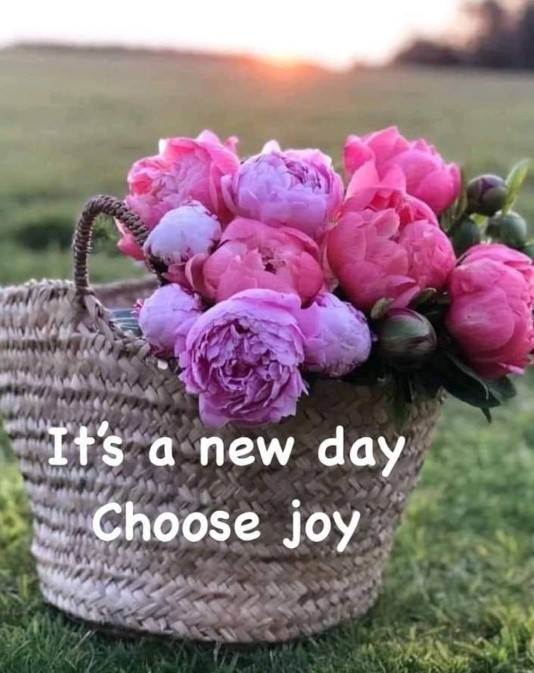 it is a new day, choose joy