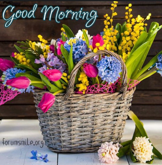 A full basket of flowers lifts the mood in the morning