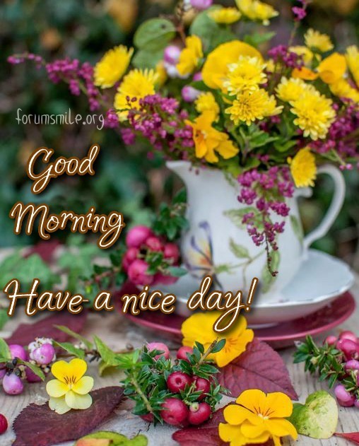 Good morning, have a wonderful day!