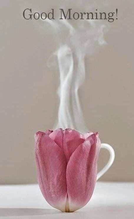 Flower in the form of a cup of coffee
