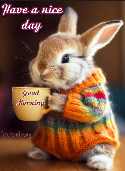The rabbit wishes you good morning and a nice day!