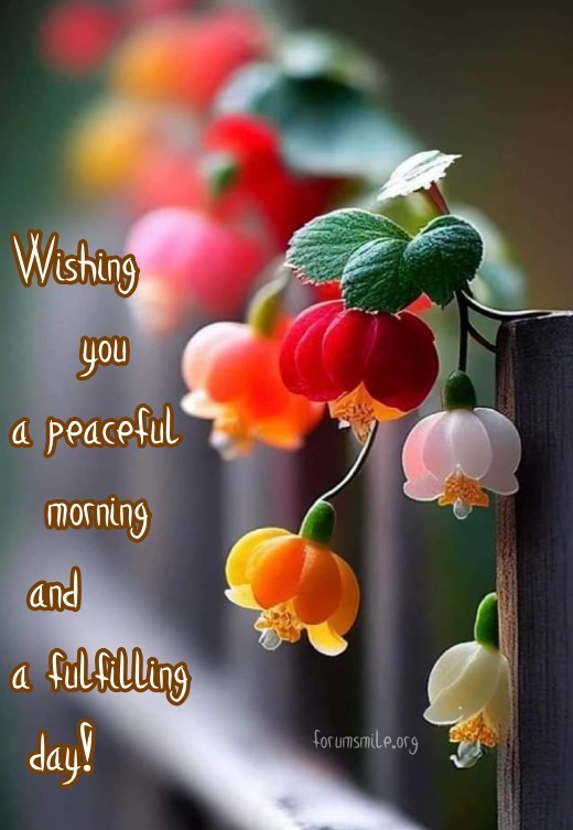 Wishing you a peaceful morning