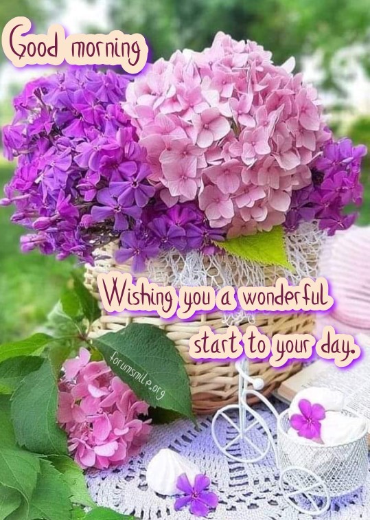 Wishing you a wonderful start to your day