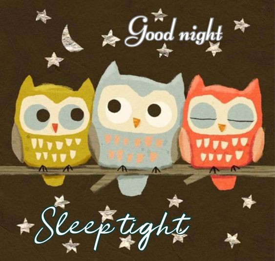Good night, sleep tight!
