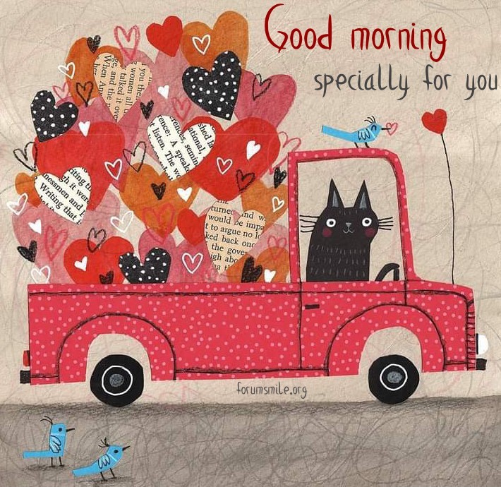 Funny cat, a red car and a trunk full of hearts