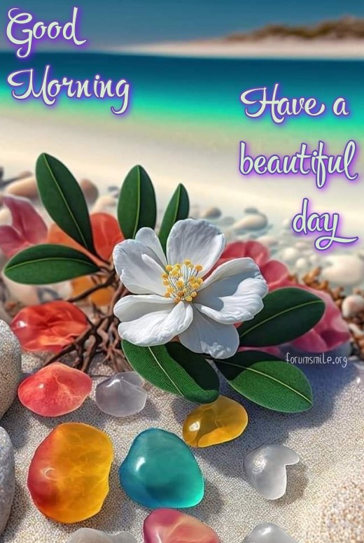 Good Morning image - beach, colorful pebbles and flowers