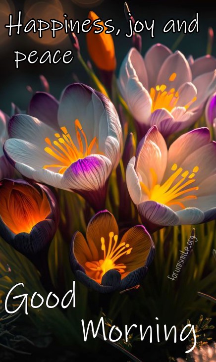 A beautiful bouquet of crocuses with a good morning wish 