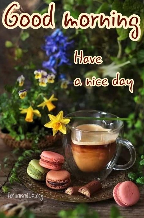 Good morning, have a nice day with coffee and goodies